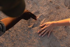 Image post by @chiawasafaris on Instagram