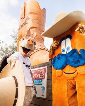 Image post by @visit_houston on Instagram