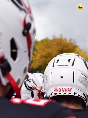 Image post by @msum_football on Instagram