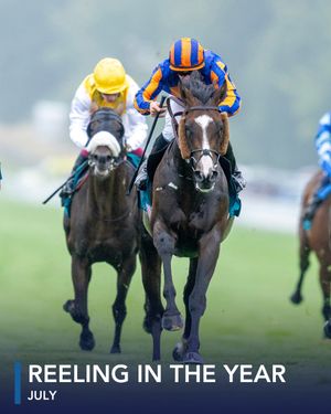 Image post by @coolmoreamerica on Instagram