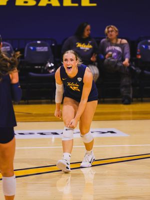 Image post by @toledo_vb on Instagram