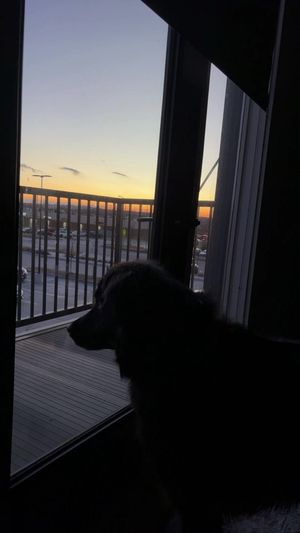 Video post by @candyjimenezzzzz on TikTok