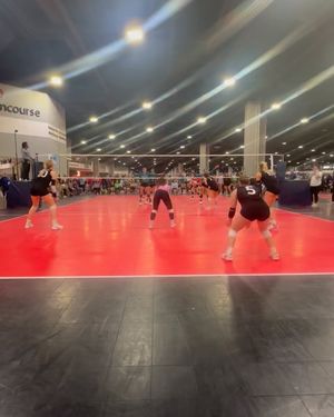 Image post by @PLAvolleyball on Facebook