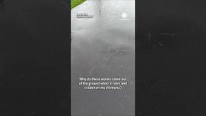 Video post by @accuweather on YouTube