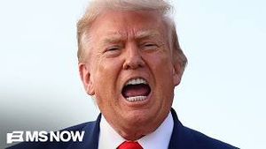 Video post by @msnbc on YouTube