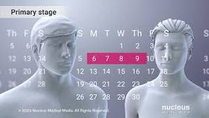 Video post by @nucleusmedicalmedia on YouTube