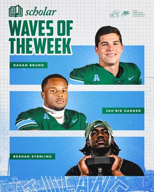 Image post by @greenwavefb on Instagram