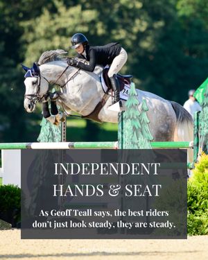 Image post by @theplaidhorsemag on Instagram