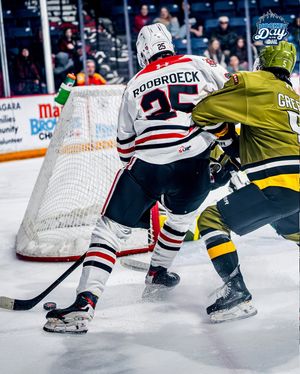 Image post by @ohlicedogs on Instagram