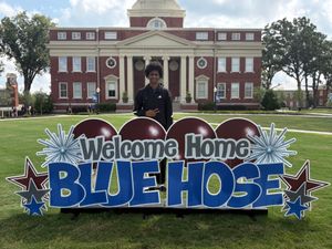 Image post by @bluehosembb on Instagram