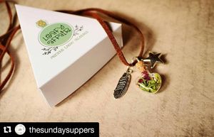 Image post by @leafyaffair on Instagram