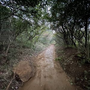 Image post by @blackdiamond_traildesigns on Instagram