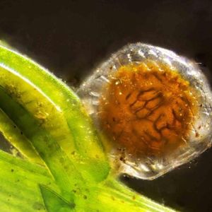 Image post by @worldscifest on Instagram