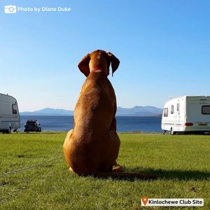Image post by @candmclub on Instagram