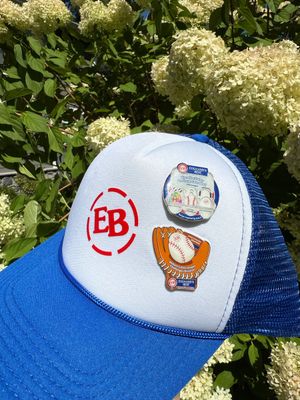 Image post by @LittleLeague on Twitter