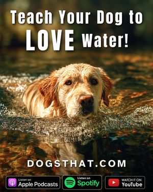Image post by @susangarrettdogsthat on Instagram