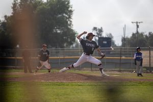 Image post by @lizagazaryanphotography on Instagram