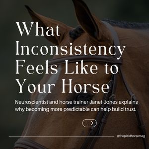 Image post by @theplaidhorsemag on Instagram