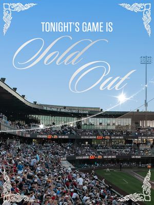Image post by @saltlakebees on Instagram