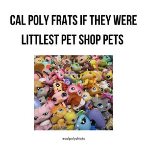 Image post by @calpolychicks on Instagram