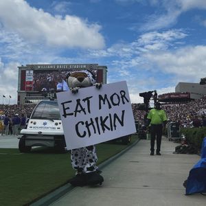 Image post by @lsumiketiger on Instagram