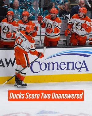 Image post by @anaheimducks on Instagram