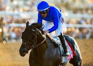Image post by @thebloodhorse on Instagram