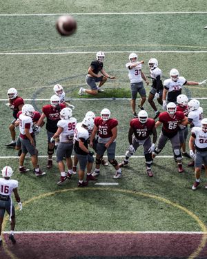 Image post by @colgatefb on Instagram