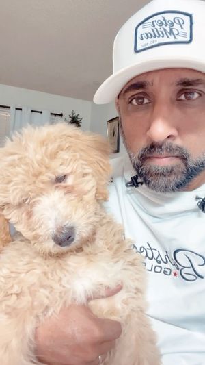 Video post by @krishdhokia on Instagram