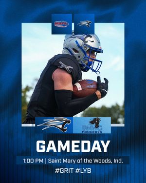 Image post by @usf_fb on Instagram