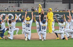 Image post by @thelvballpark on Instagram