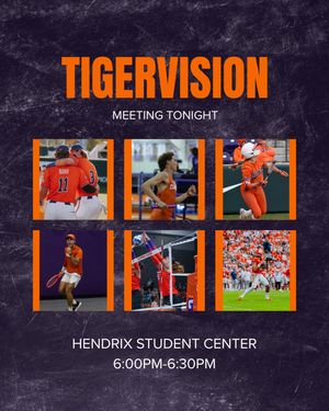 Image post by @cutigervision on Instagram