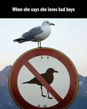 Image post by @9gag on Instagram