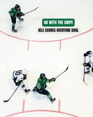 Image post by @fl_everblades on Instagram