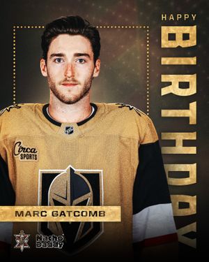 Image post by @vegasgoldenknights on Instagram