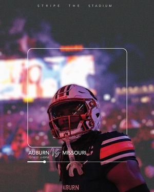 Image post by @aujungle on Instagram