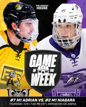 Image post by @hockeyhousepod on Instagram