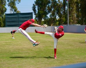 Image post by @lmulionsbsb on Instagram