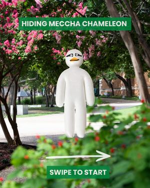 Image post by @unt on Instagram