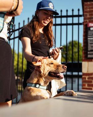 Image post by @gamecockbaseball on Instagram