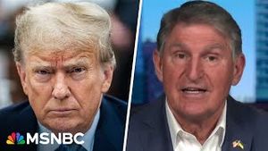 Video post by @msnbc on YouTube