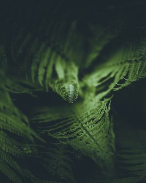Image post by @kszczuka on Instagram