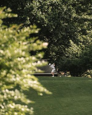 Image post by @wildwoodgreengc on Instagram
