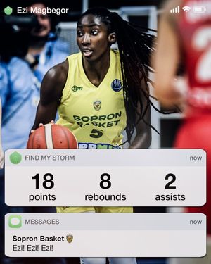 Image post by @seattlestorm on Twitter