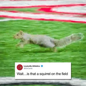 Image post by @gocards on Instagram