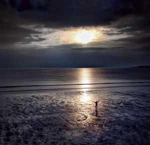 Image post by @mokelevine on Instagram