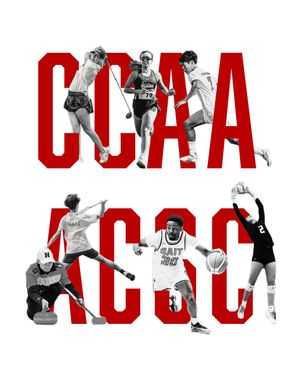 Image post by @ccaasportacsc on Instagram