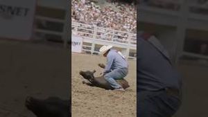 Video post by @officialcowboychannel on YouTube