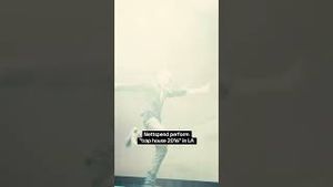 Video post by @respectivecollective on YouTube