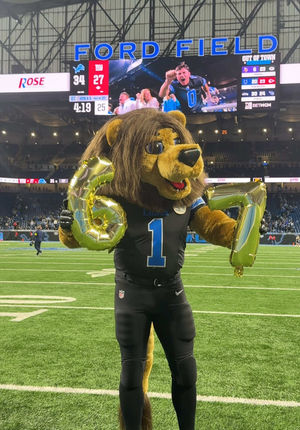 Video post by @roarynfl on TikTok